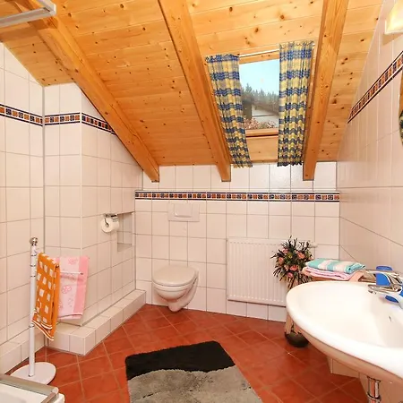 Apartment Schachtenbach Bayerisch Eisenstein